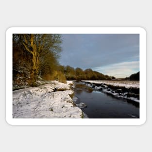 Winter's day near the Seaton Burn Sticker